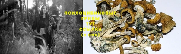 прущая мука Аркадак
