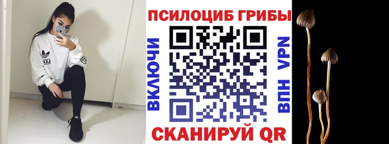 Псилоцибиновые грибы Magic Shrooms Чёрмоз